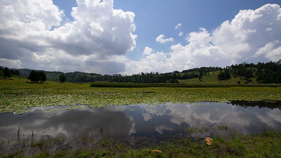 IMGP8352 web Bildslider 760x440